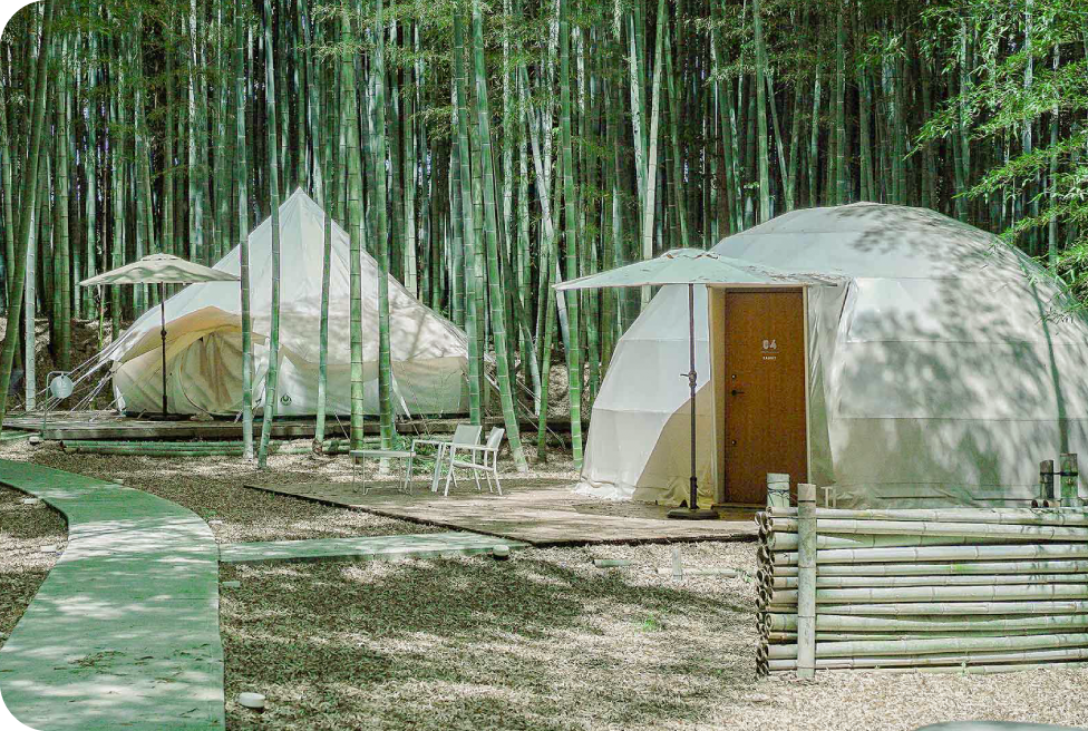 U25学割LP | The Bamboo Forest